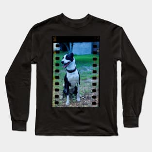 Dog on film Long Sleeve T-Shirt